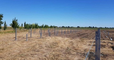 РОЗМОРОЖУВАННЯ. EDS БУДУЄ НОВУ ВЕЛИКУ СЕС